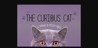 The Curious Cat Font Poster 1