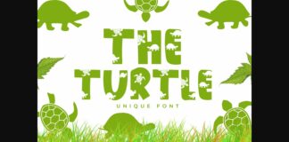 The Turtle Font Poster 1