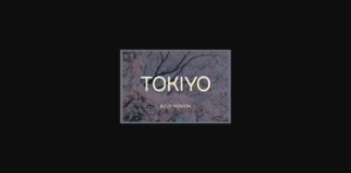 Tokiyo Bold Font Poster 1