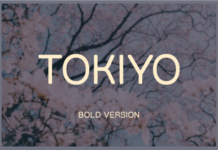 Tokiyo Bold Font