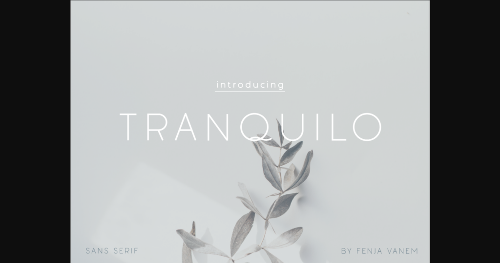 Tranquilo Font Poster 3