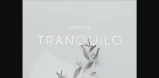 Tranquilo Font Poster 1