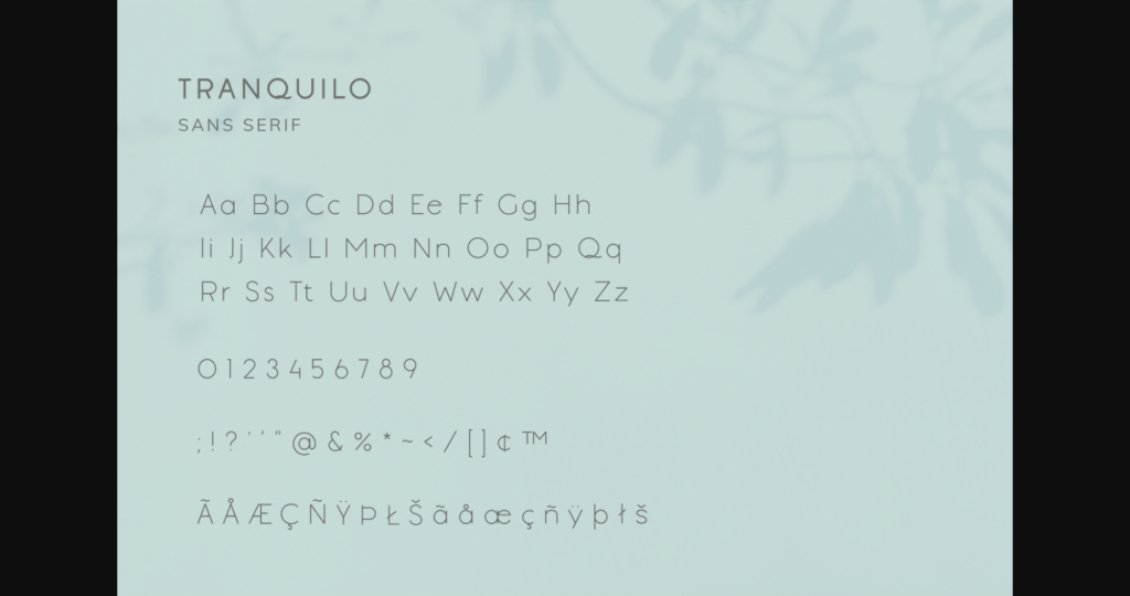 Tranquilo Font Poster 6