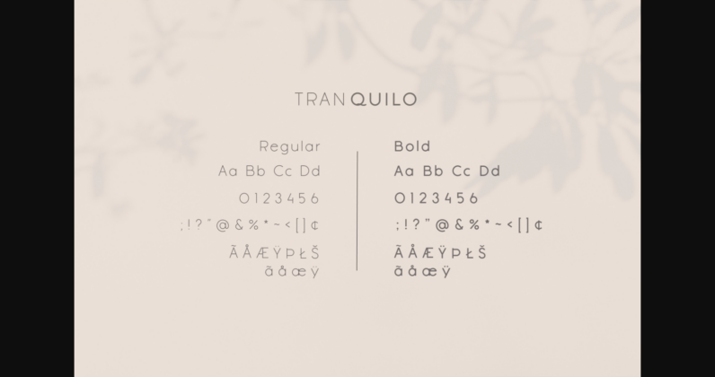 Tranquilo Font Poster 7