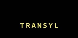 Transyl Fonts