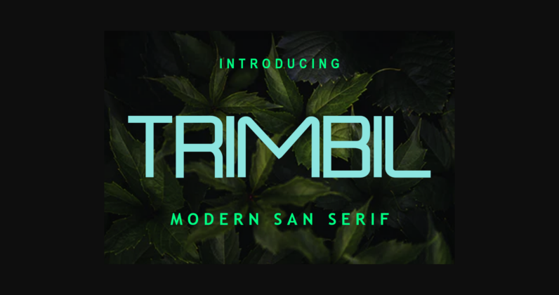 Trimbil Font Poster 3