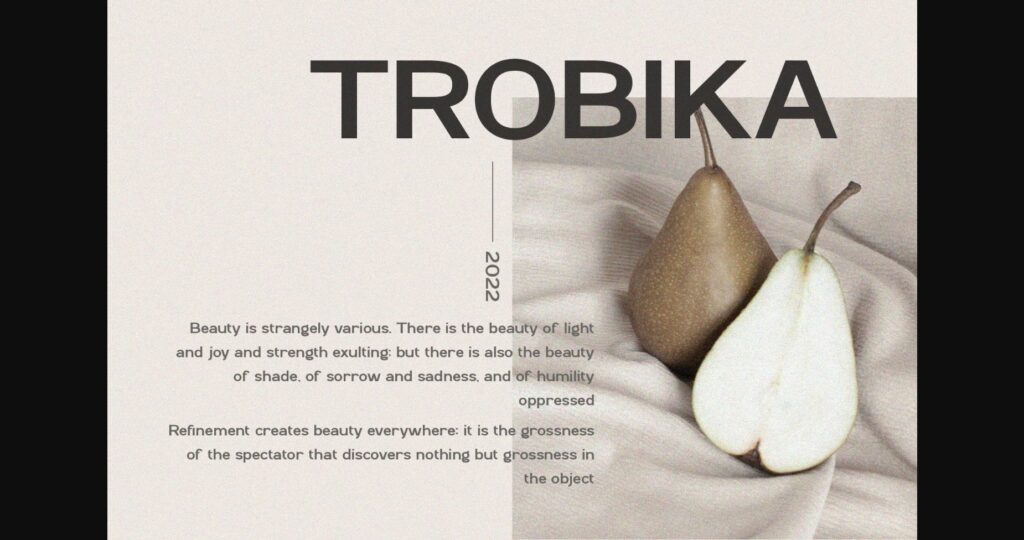 Trobika Font Poster 7