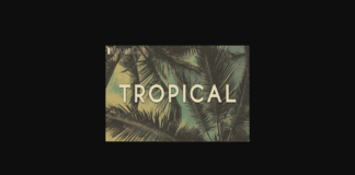 Tropical Font Poster 1