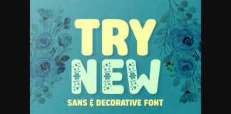 Try New Font Poster 1