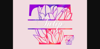 Tulip Split Font Poster 1