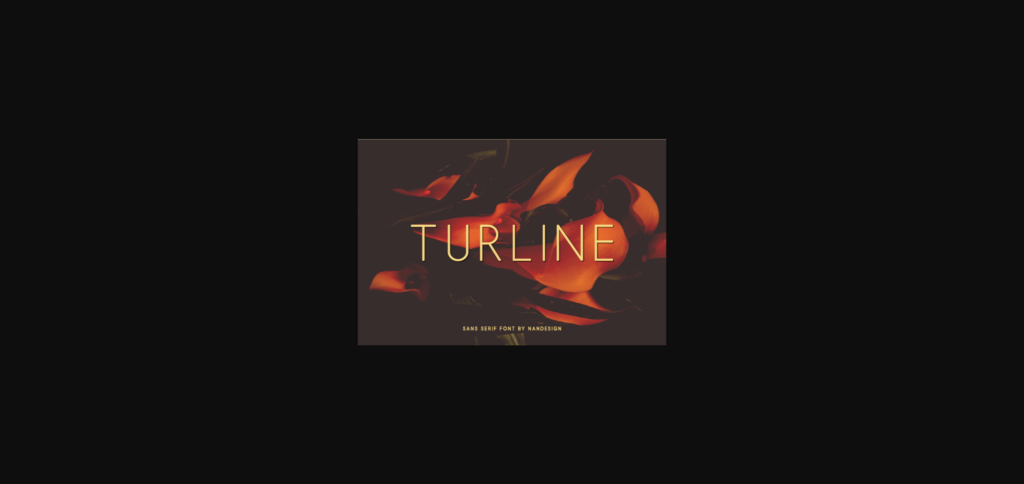 Turline Font Poster 3