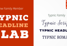 Typnic Headline Family Font