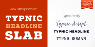 Typnic Headline Family Font