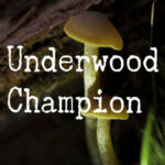 Underwood Champion Fonts