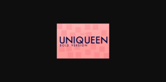 Uniqueen Bold Font Poster 1