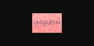 Uniqueen Thin Font Poster 1