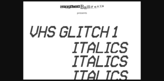 VHS Glitch 1 Italic Font Poster 1