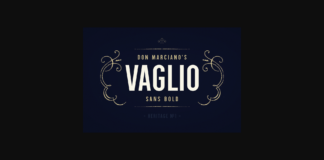 Vaglio Font Poster 1