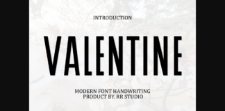 Valentine Font Poster 1