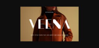 Veena Font Poster 1