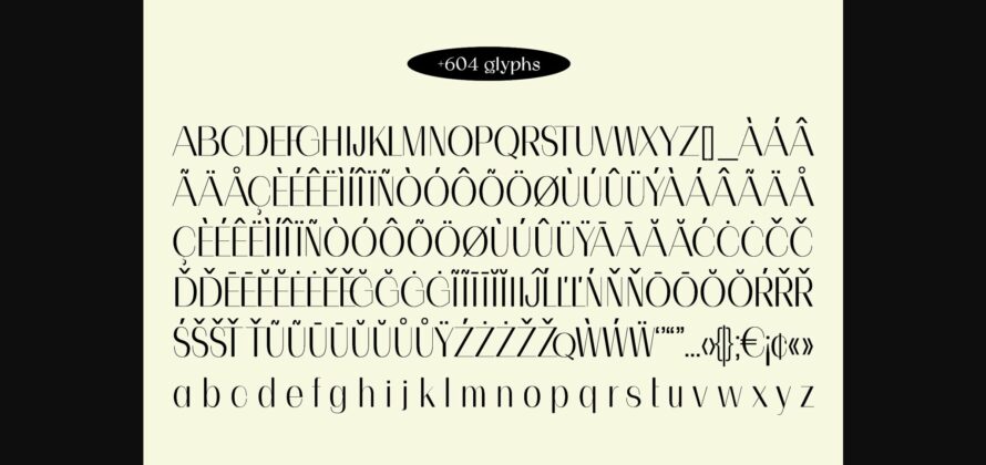 Velvet Font Poster 11