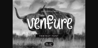 Venture Font Poster 1