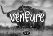 Venture Font