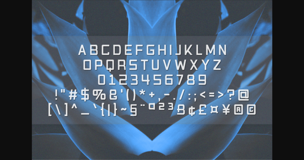 Victoruth Font Poster 4