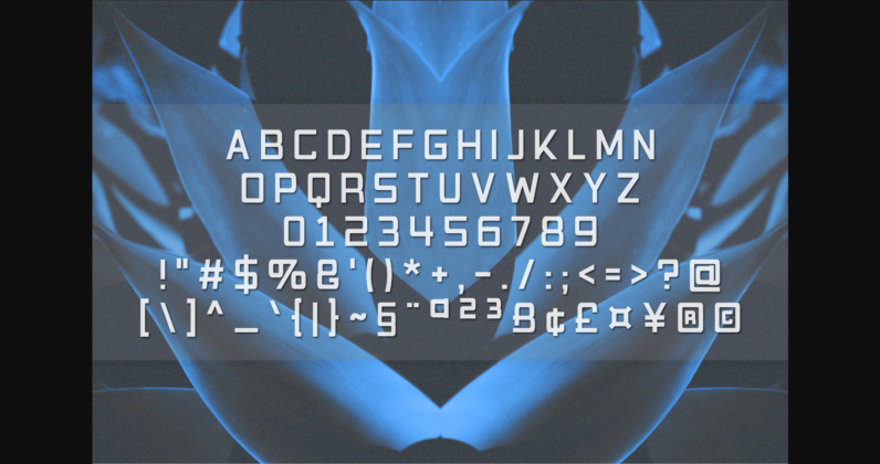 Victoruth Font Poster 2