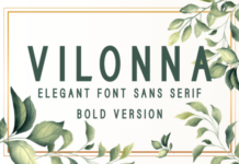 Vilonna Bold Font