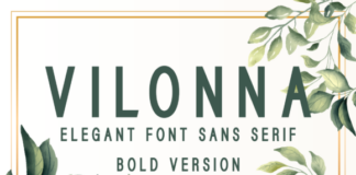 Vilonna Bold Font