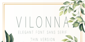 Vilonna Thin Font