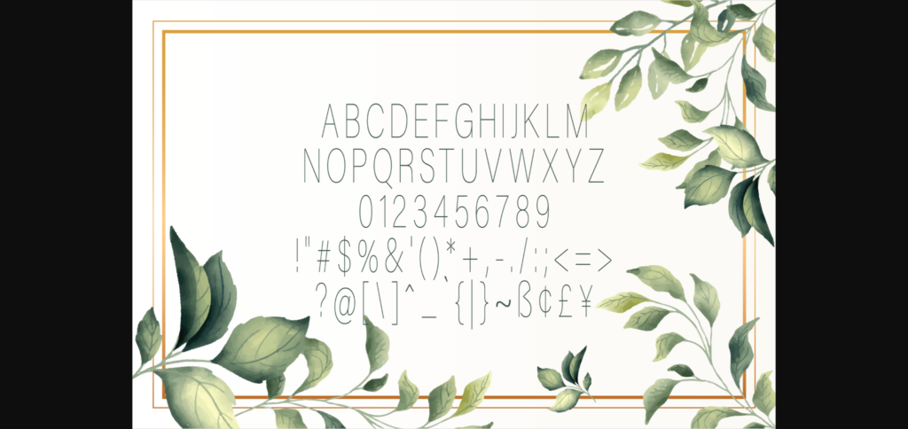 Vilonna Thin Font Poster 4