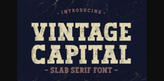 Vintage Capital Poster 1