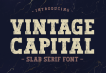 Vintage Capital Fonts