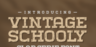 Vintage Schooly Fonts