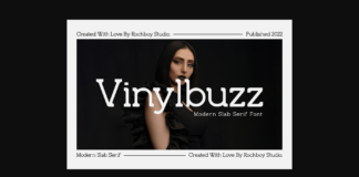 Vinylbuzz Poster 1