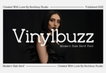 Vinylbuzz Fonts