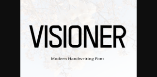 Visioner Font Poster 1