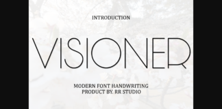 Visioner Font Poster 1