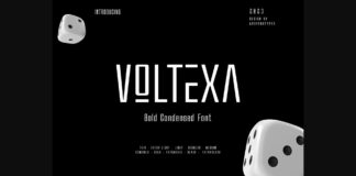 Voltexa Font Poster 1