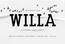 Willa Fonts