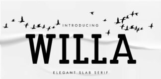 Willa Fonts