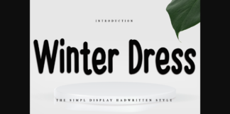 Winter Dress Font Poster 1