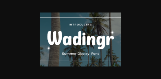 Wadingr Font Poster 1