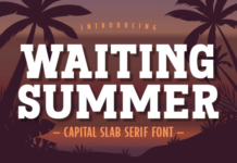 Waiting Summer Fonts