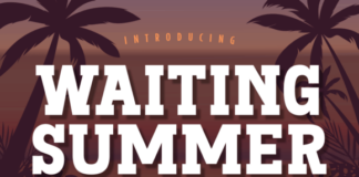 Waiting Summer Fonts