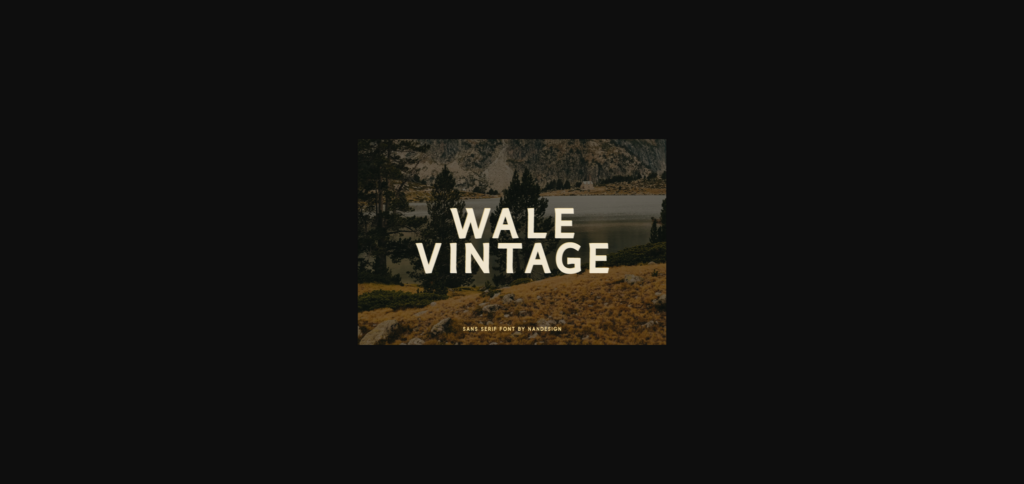 Wale Vintage Font Poster 3