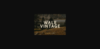 Wale Vintage Font Poster 1