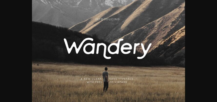 Wandery Font Poster 3